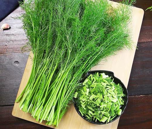 茴香200g   新鲜蔬菜 商品图4