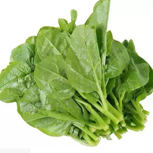 豆腐菜  250g  新鲜蔬菜 商品图0