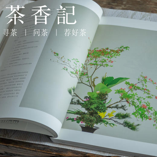 茶香记《花前》第二期 文人空间 插花艺术 东方美学 商品图3
