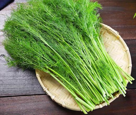 茴香200g   新鲜蔬菜 商品图0