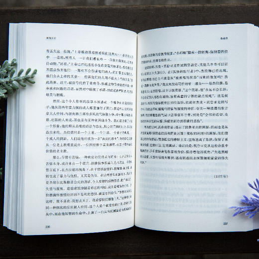 激情如初：凡·高、普鲁斯特、伍尔夫等 商品图6