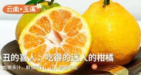 一口爆汁的丑橘，果肉Q嫩、鲜甜爽口，好吃的直跺脚！ 