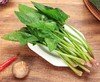 菠菜250g   新鲜蔬菜 商品缩略图3
