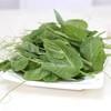 豌豆尖200g    新鲜蔬菜 商品缩略图0