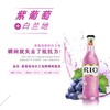 RIO白兰地鸡尾酒水蜜桃味/紫葡萄味/蓝玫瑰味/青柠味/混合水果/275ml 商品缩略图2