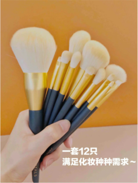 让我康康是谁还没有人拥有这套美腻的刷子