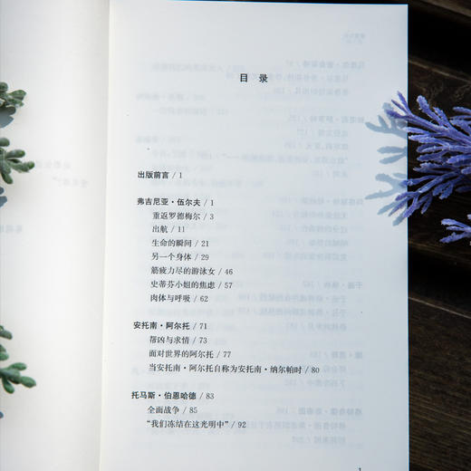 激情如初：凡·高、普鲁斯特、伍尔夫等 商品图5