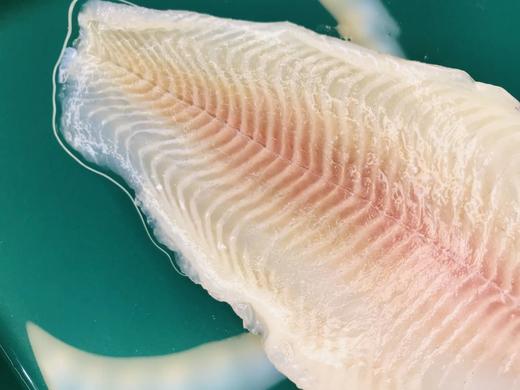 纯肉鮰鱼片（云南） 商品图1