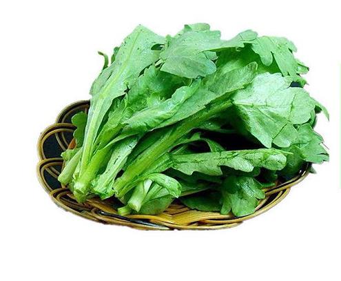 【时令蔬菜】茼蒿500g±20g 商品图1