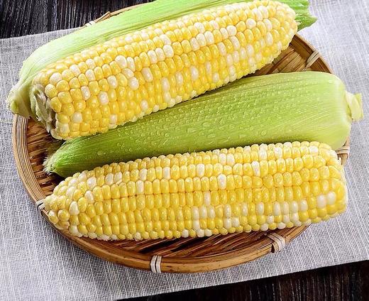 新包谷500g   新鲜蔬菜 商品图0