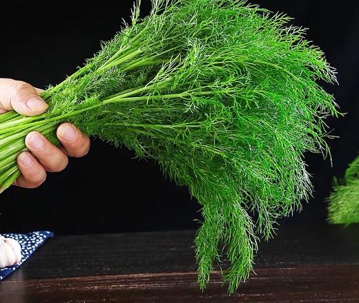 茴香200g   新鲜蔬菜 商品图1