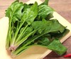 菠菜250g   新鲜蔬菜 商品缩略图2