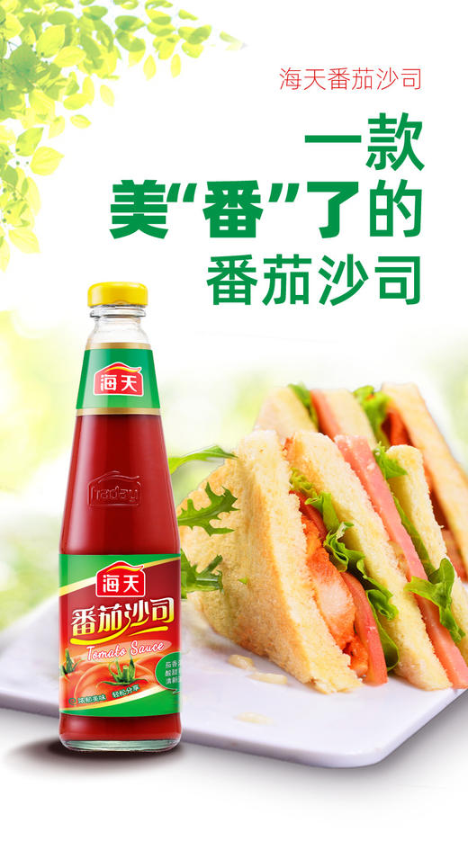 海天番茄沙司250g家用番茄酱意面披萨寿司手抓饼汉堡薯条酱番茄酱 商品图0