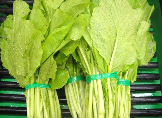 小青菜 500g （蔬菜） 商品图1