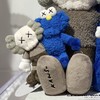KAWS Seeing&watching-小-DXW 商品缩略图0
