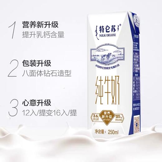 蒙牛特仑苏纯牛奶高端整箱优质乳蛋白（250ml*16包）/提 商品图1