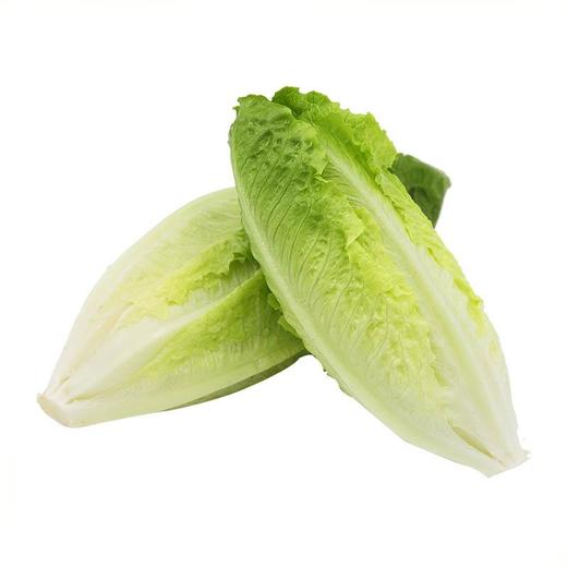 精选罗马生菜 约450g /份