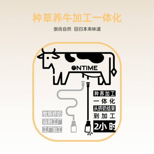【新牧民】2小时纯牛奶200ml*12盒