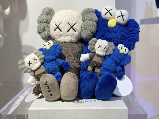 KAWS Seeing&Watching-大-DXW 商品图0