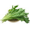 小青菜 500g （蔬菜） 商品缩略图0