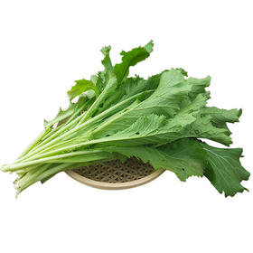 小青菜 500g （蔬菜）