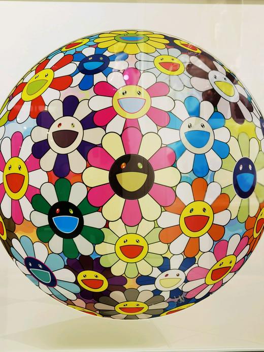 太阳花粉白花球 Flower ball 31-300 商品图0