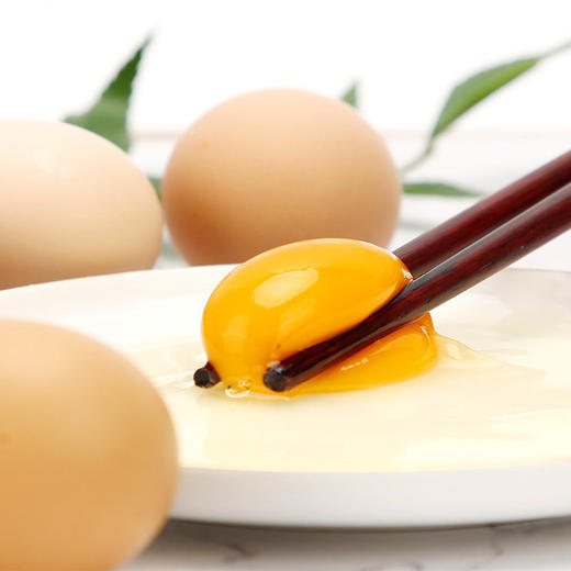 康硕优土鸡蛋，新鲜安全，枚枚优质安心蛋 商品图2