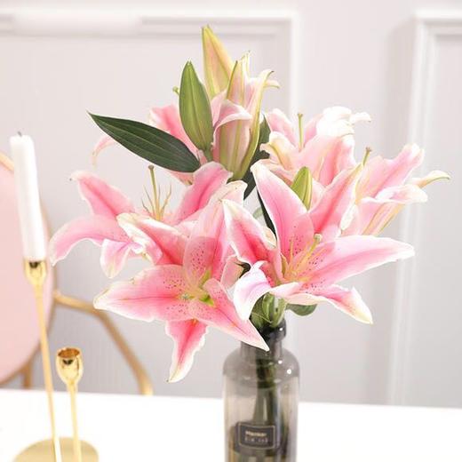 营销会百合花预售（1扎10枝3头以上） 商品图2