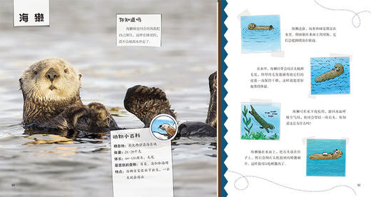 我的野生动物朋友（趣味野生动物小百科）（套装4册）-分销 商品图4