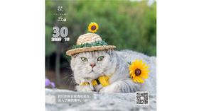 【花丘•心语】