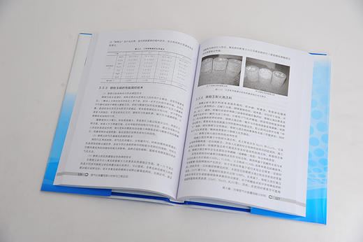 煤气化装置用耐火材料与工程应用 李红霞 煤气化装置用耐火材料研究生产技术书籍 现代煤气化装置用耐火材料种类性质性能工程应用 商品图2
