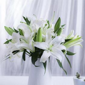 12月营销会百合花