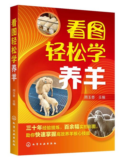 看图轻松学养羊 科学养羊技术书籍 养羊设备羊选种 选配羊繁殖配种 羔羊饲养管理 羊 生产管理羊病诊断与防治 养羊新技术 商品图0