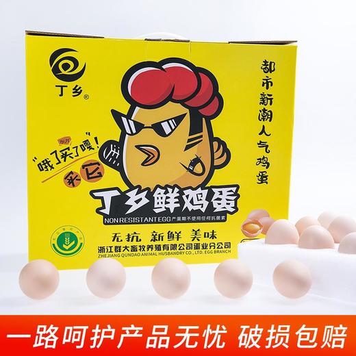 丁乡鲜鸡蛋 无抗生素安心蛋30个 商品图0