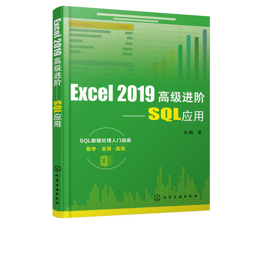 Excel 2019高级进阶 SQL应用 肖鹏 基于Microsoft Office 2019专业版 SQL数据处理入门指南书籍 办公软件制表 Excel制作数据报表 商品图5