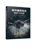 城市建筑风光摄影与后期 夜景车流人像街拍技巧大全 短视频后期修图教程 剪映手机摄影剪辑教程 摄影书摄影书籍入门教材 城市黑金 商品缩略图0