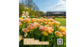 【花丘•心语】