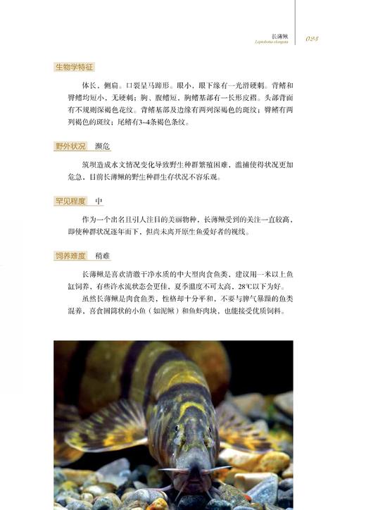 中国原生鱼（第一辑） 商品图4