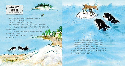 我的野生动物朋友（趣味野生动物小百科）（套装4册）-分销 商品图10