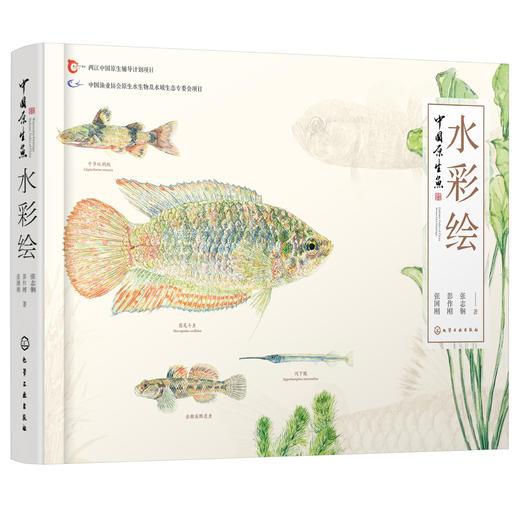 中国原生鱼水彩绘 商品图0