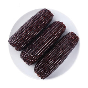 【武汉.汉南】汉南熟黑糯玉米10支（真空装）