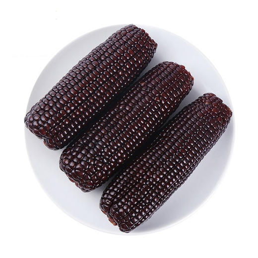 【武汉.汉南】汉南熟黑糯玉米10支（真空装） 商品图0