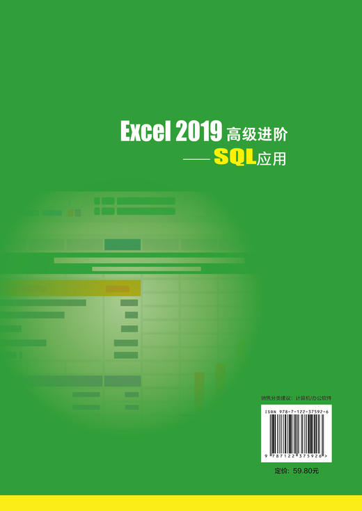 Excel 2019高级进阶 SQL应用 肖鹏 基于Microsoft Office 2019专业版 SQL数据处理入门指南书籍 办公软件制表 Excel制作数据报表 商品图1