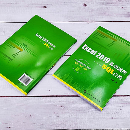Excel 2019高级进阶 SQL应用 肖鹏 基于Microsoft Office 2019专业版 SQL数据处理入门指南书籍 办公软件制表 Excel制作数据报表 商品图4
