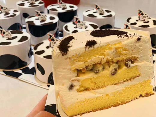 澳洲牛乳蛋糕 商品图2