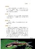 中国原生鱼（第一辑） 商品缩略图7
