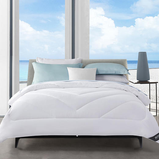 HBXW-039 豪华加厚冬被 商品图3