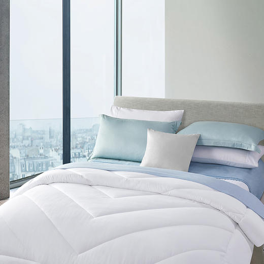 HBXW-039 豪华加厚冬被 商品图2