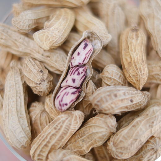 五彩花生500g｜云南普洱 商品图0