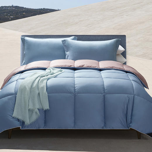 HBXW-037 仿羽绒加厚冬被 商品图2